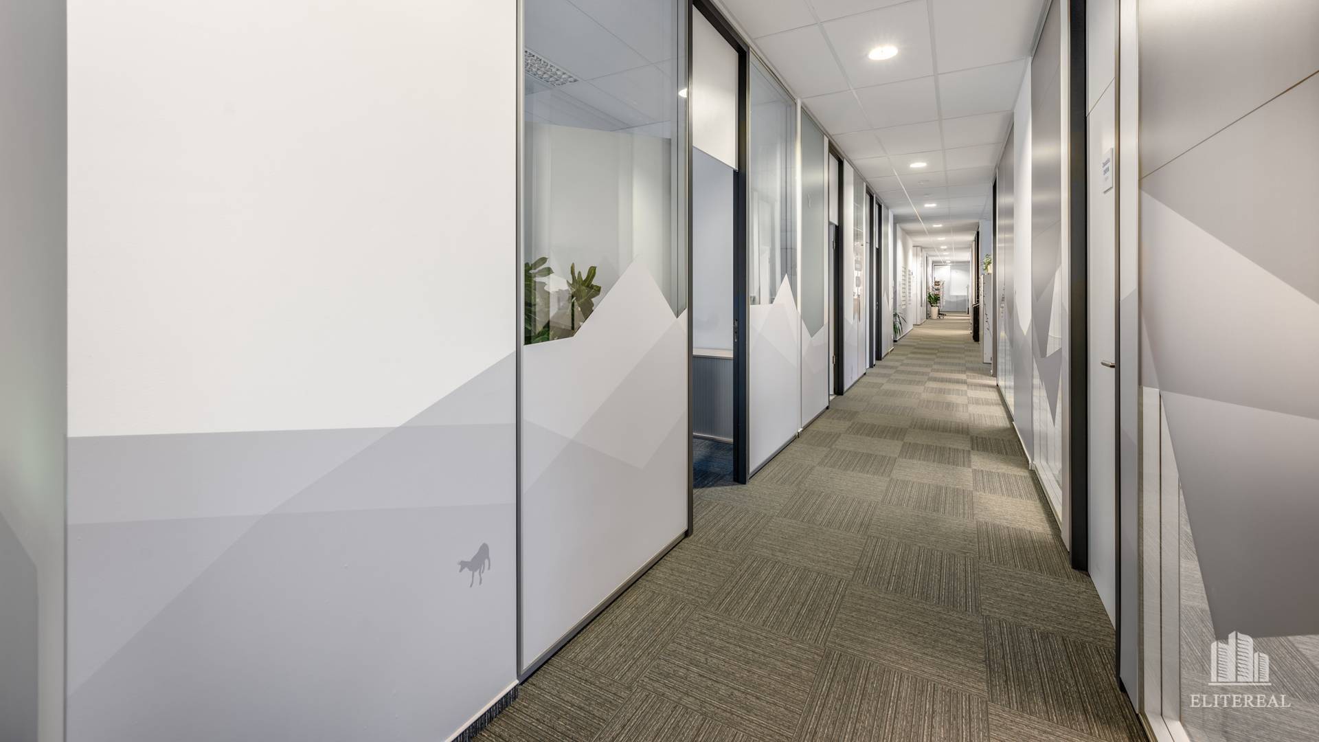 GALVANIHO - moderné kancelárie o výmere 430 m2 - Ružinov