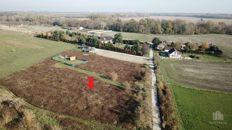 DJI_0123.jpg